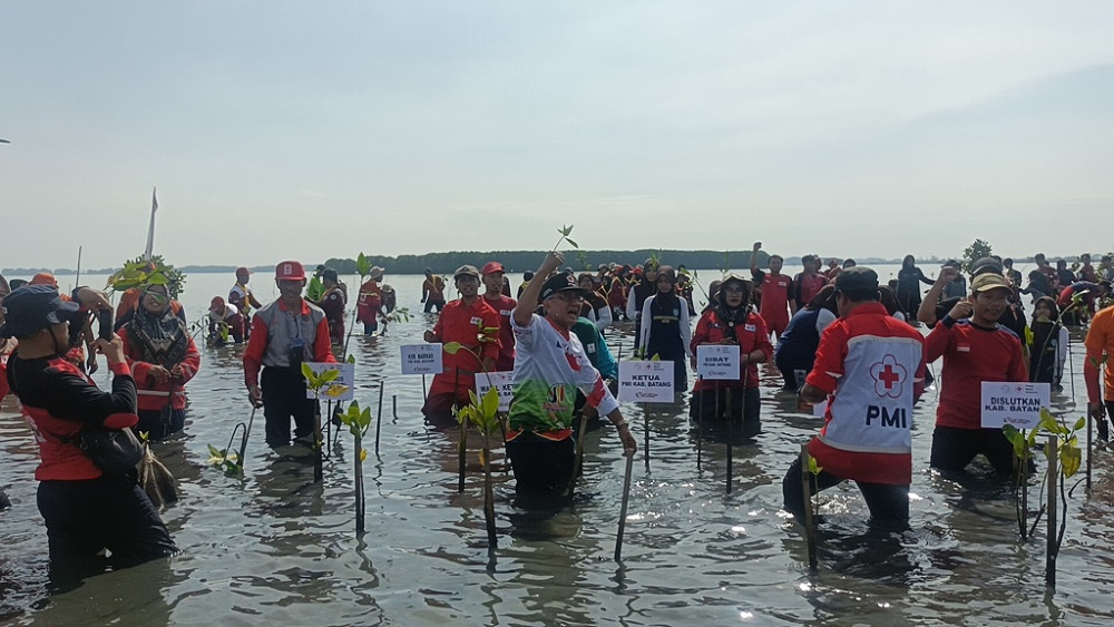 PMI Batang Upayakan Kawasan Rob jadi Wisata Perikanan