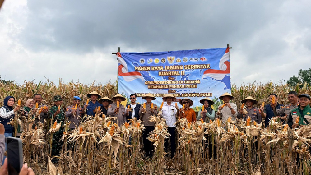 Panen Raya Jagung, Polres Batang Dukung Swasembada Pangan Nasional