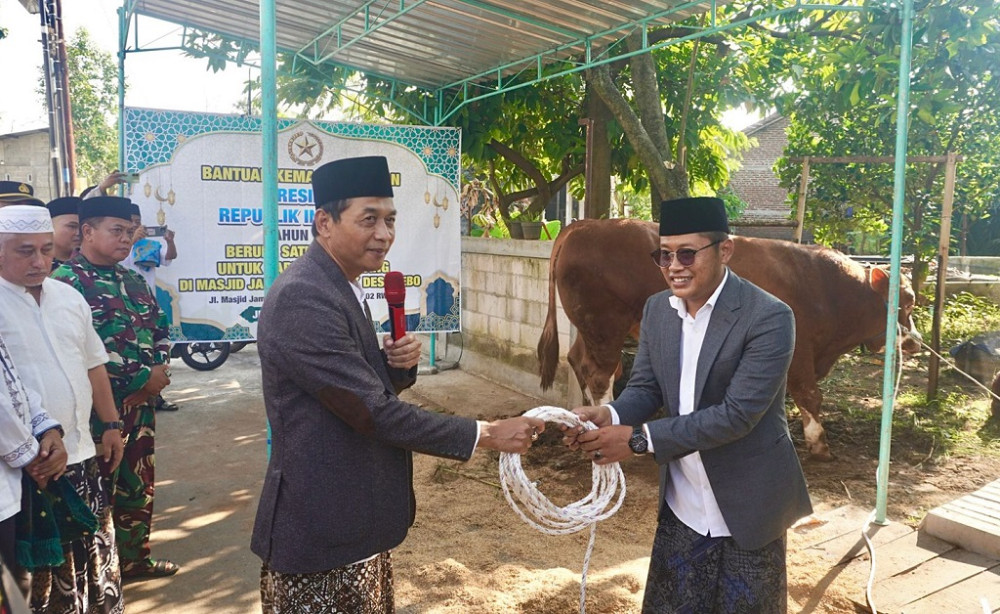 Wabup Batang Serahkan Sapi Kurban Banpres Presiden Prabowo di Gringsing