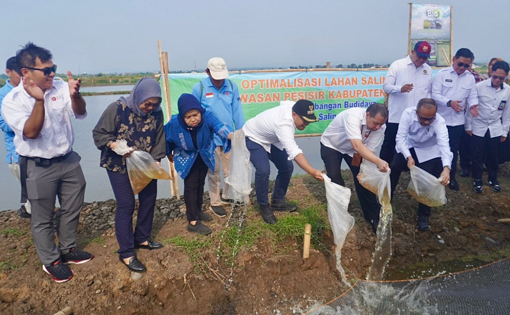 Pembangunan Giant Sea Wall hingga Batang Masih Digodok, Pemerintah Pusat Petakan Solusi