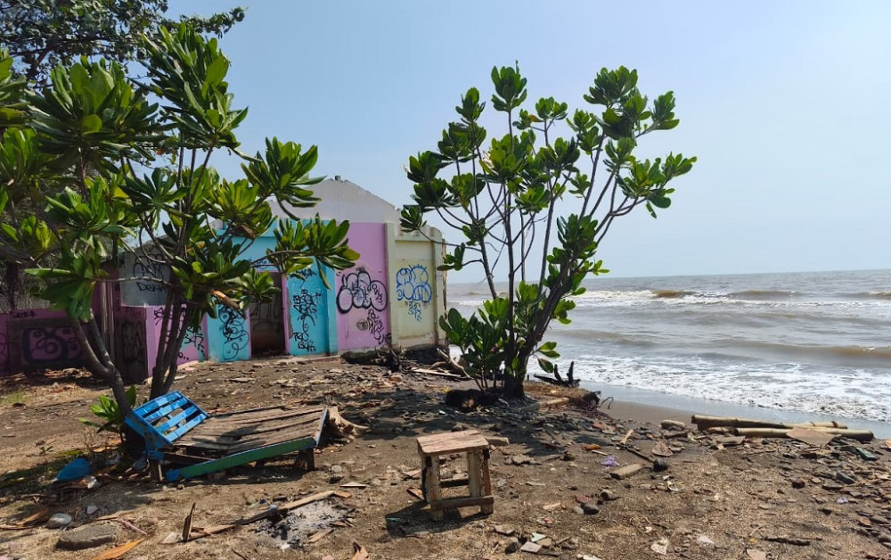 Dua Hektare Lahan Pantai Sigandu Batang Terendam Rob, Pemkab Siapkan Pembenahan