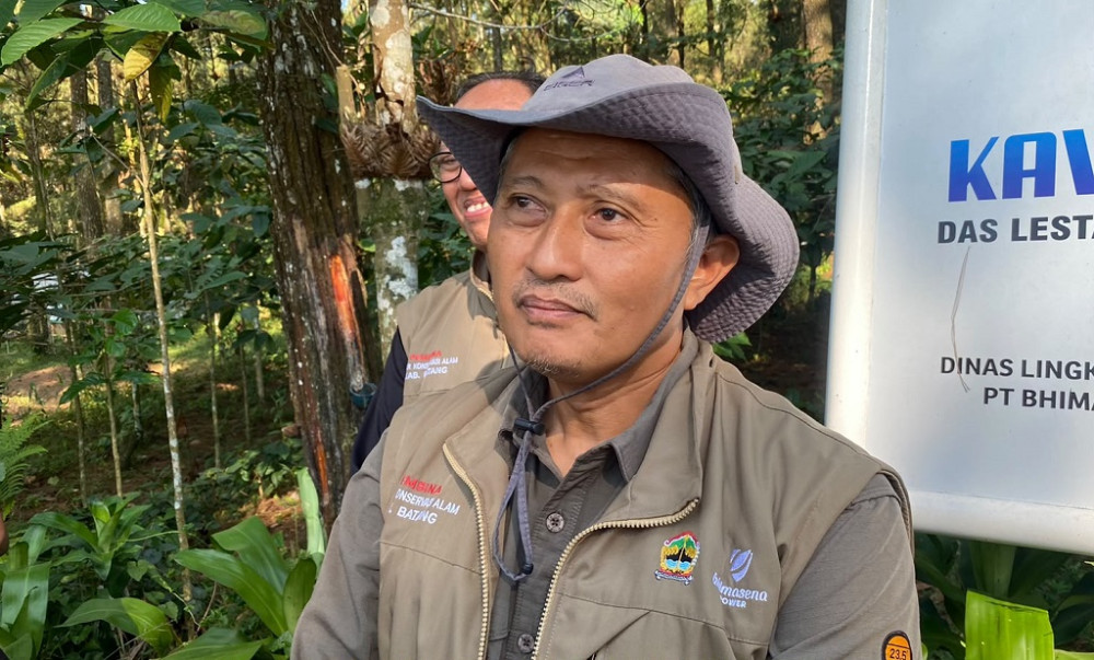 Raja Udang Kalung Biru yang Terancam Punah Ditemukan di Batang