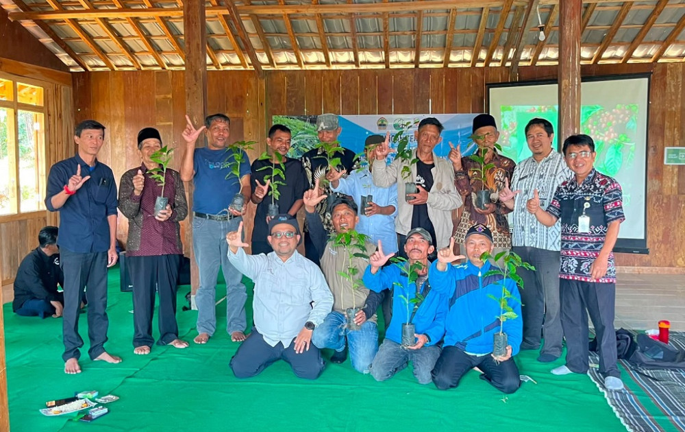Kembalikan Emas Kopi Tombo, Upaya Tumbuhkan Ekonomi dan Menjaga Lingkungan
