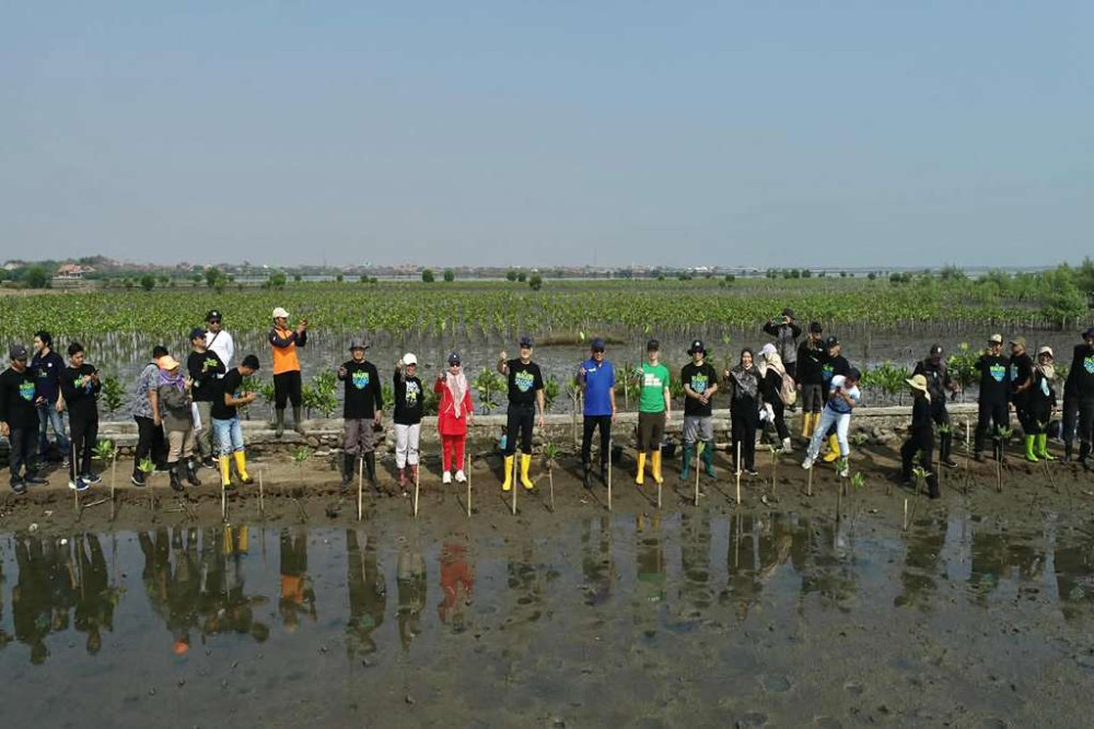 Peringati 1 Tahun Mageri Sogoro, BPI dan Pemprov Jateng Tanam 1.300 Mangrove