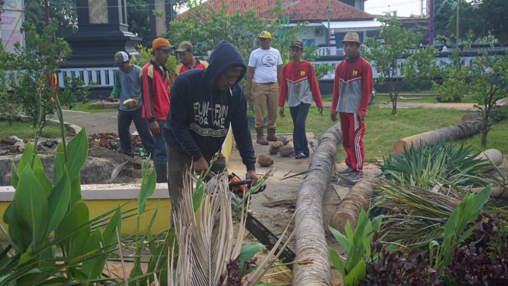 Penataan Taman Rumah Dinas Bupati