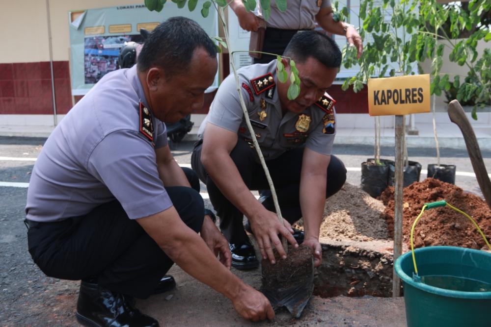 Jaga Ekosistem, Polres Batang Tanam 200 Pohon Trembesi