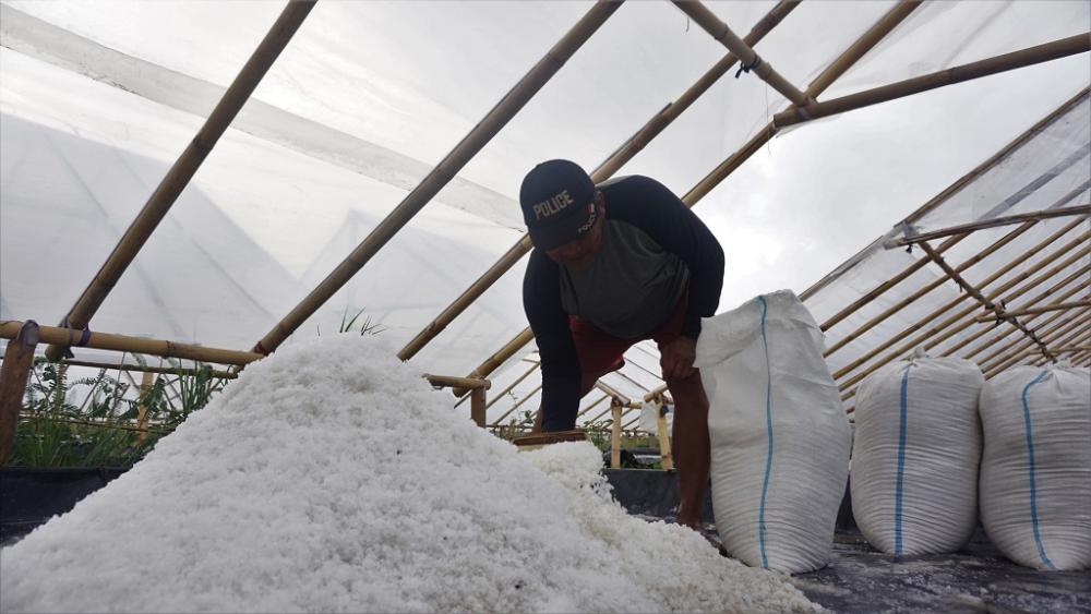 Harga Anjlok, Petani Garam di Batang Mengeluh
