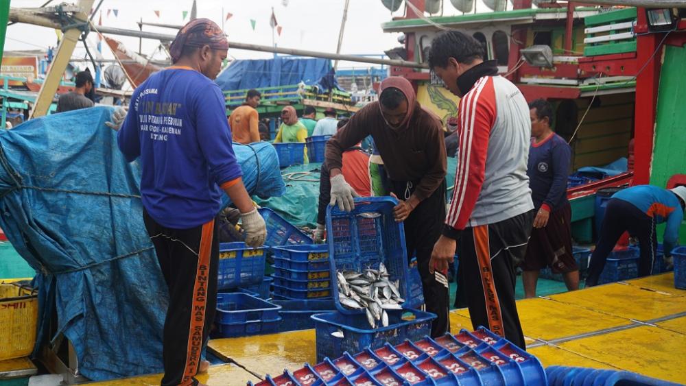 DAMPAK BULAN PURNAMA