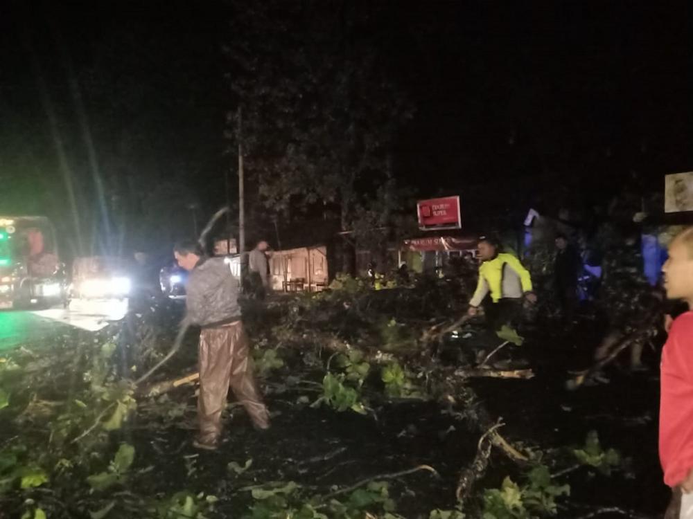 TNI/Polri Evakuasi Pohon Tumbang di Jalur Pantura