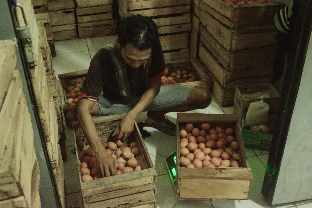 HARGA TELUR AYAM NAIK