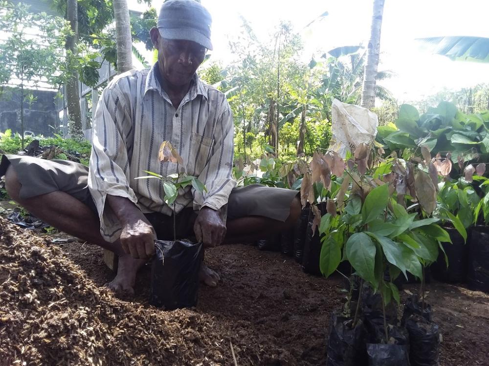 GANTI POLYBAG BIBIT TANAMAN