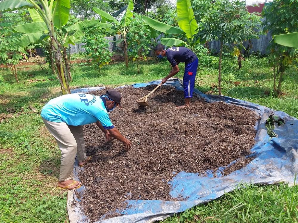 JEMUR DAUN HASIL FERMENTASI