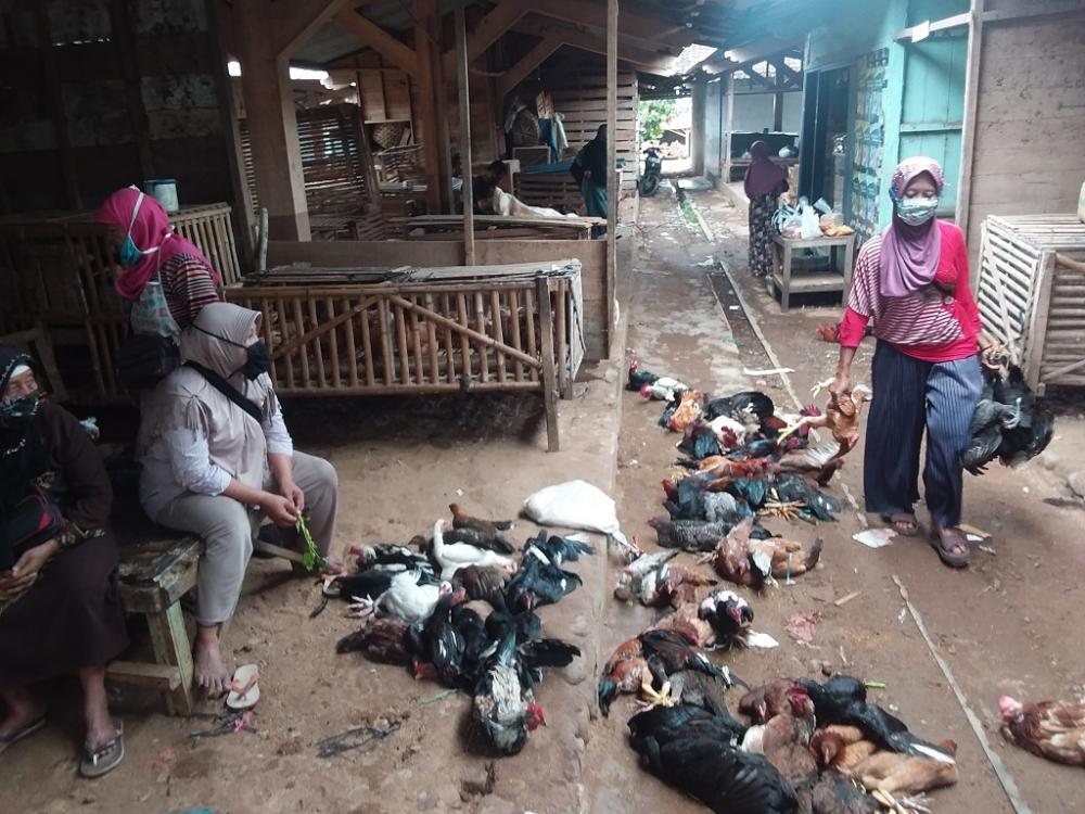 HARGA AYAM NAIK JELANG LEBARAN