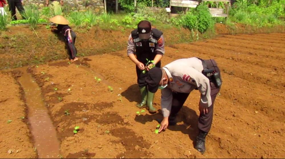 JAGA KETAHANAN PANGAN DESA