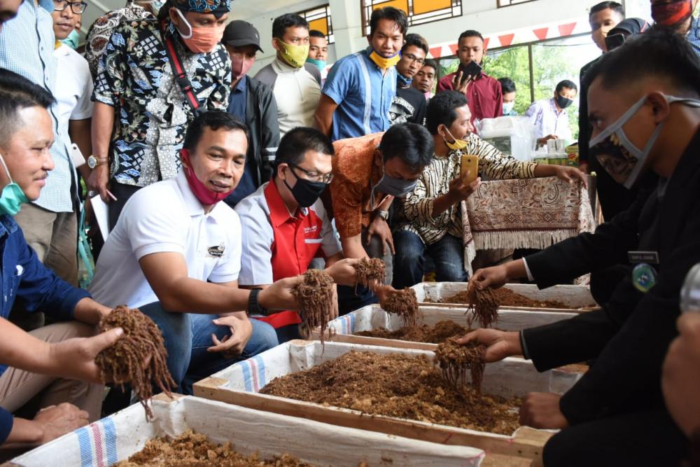 Budidaya Cacing Usaha Menjanjikan di Tengah Covid-19