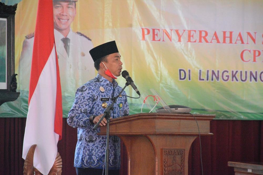 PERJUANGAN PANJANG UNTUK JADI PNS