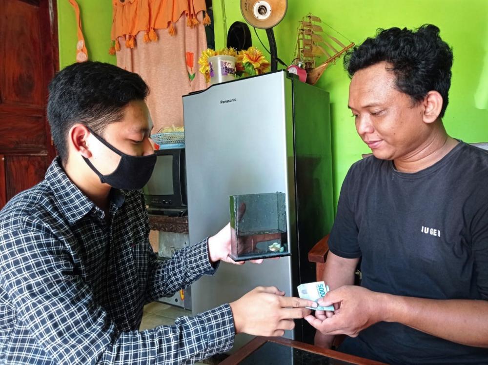 BELI IKAN GUPPY AF PLATINUM