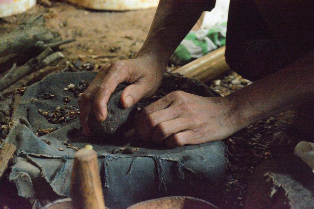 PISAHKAN BIJI MELINJO DENGAN KULITNYA