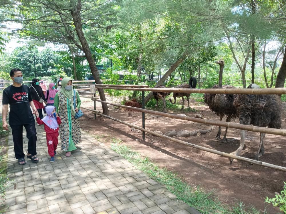 PENGUNJUNG DILARANG BERFOTO DENGAN SATWA