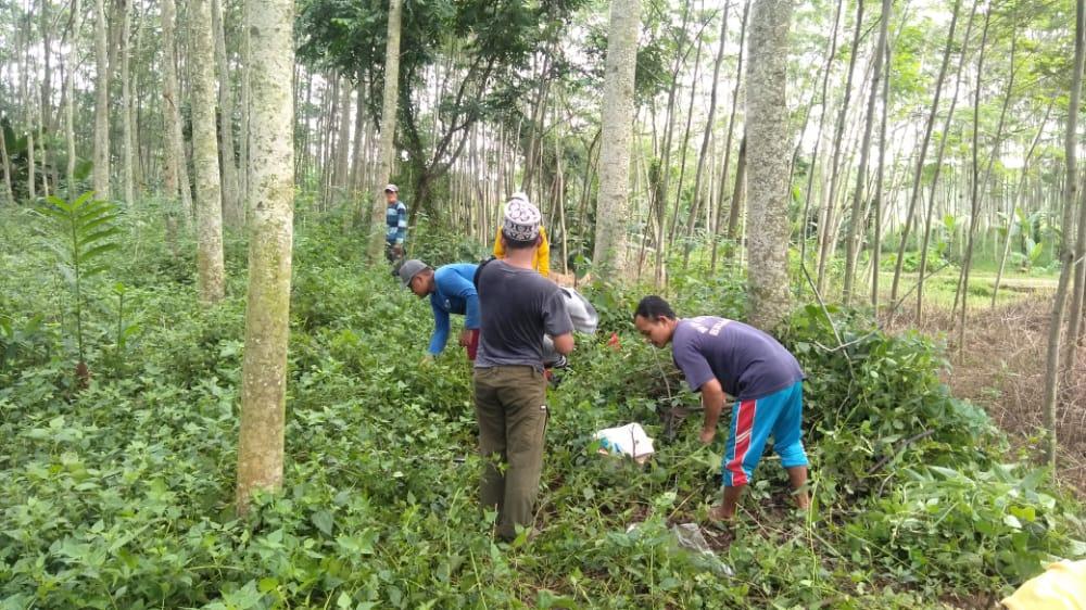 Rutan Batang Bersihkan Lahan Ponpes Al-Ikhsan