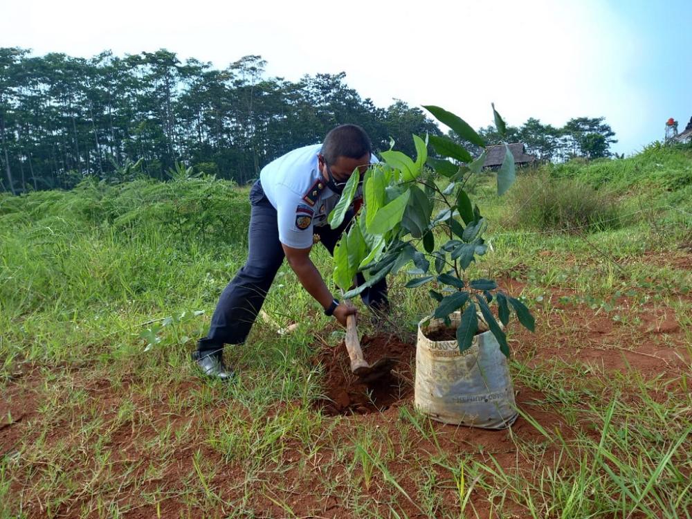 Lestarikan Alam, Pakubara-Lapas Batang Tanam Bibit Buah