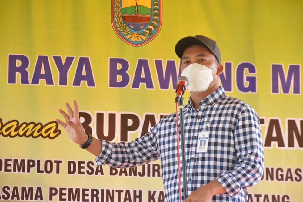 DESA BANJIRAN COCOK DITANAMI BAWANG MERAH