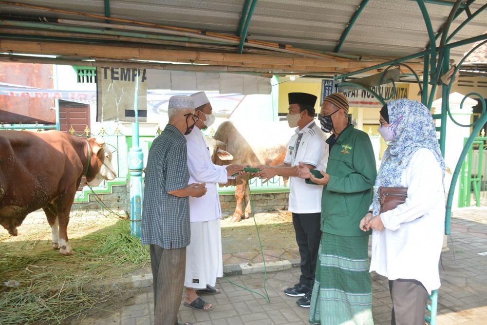 Bupati Batang Wihaji Serahkan Hewan Kurban Untuk Masjid Agung Darul Mutaqien