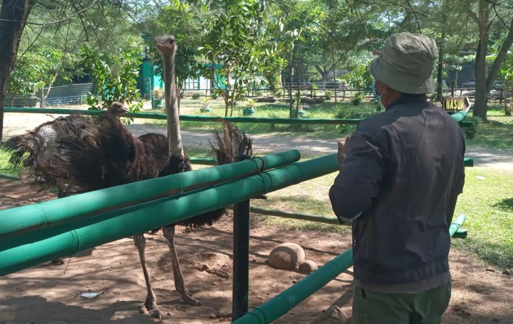 Disparpora Batang Turunkan Target Pendapatan dari Sektor Pariwisata