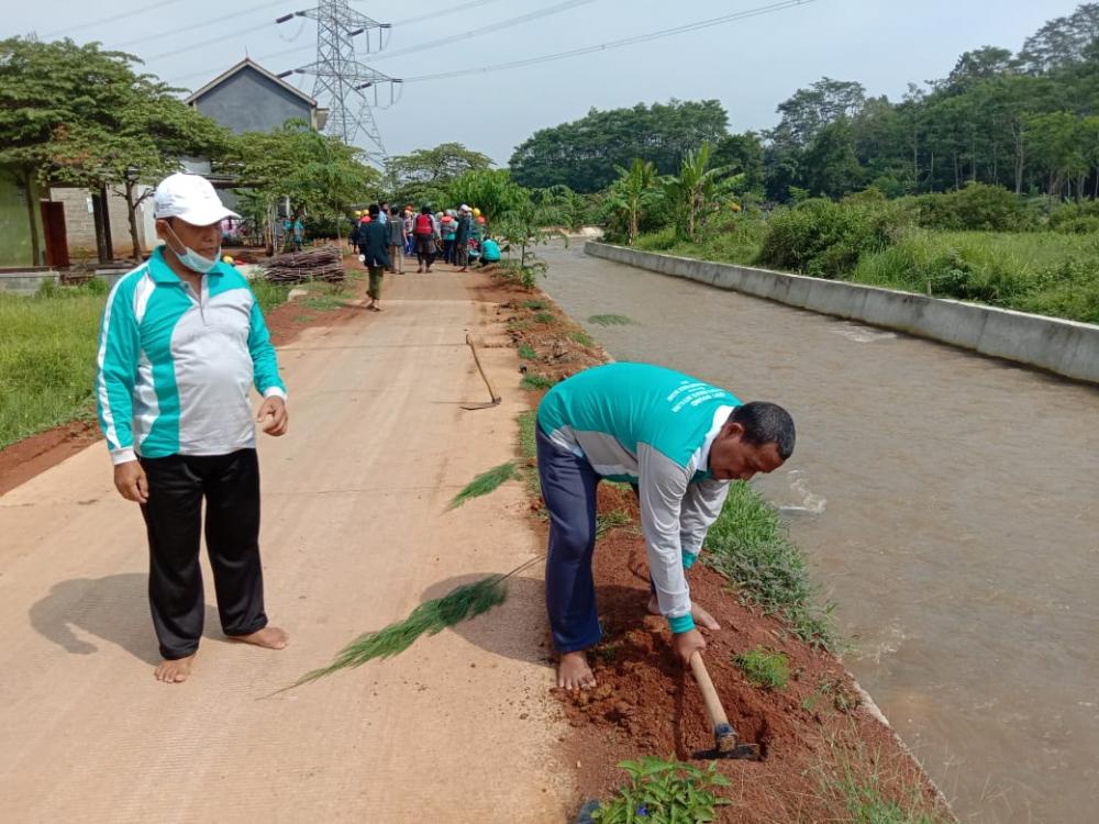 Tadabbur Alam, Santri Roudlotul Mutaâ€™alimin Tanam Cemara