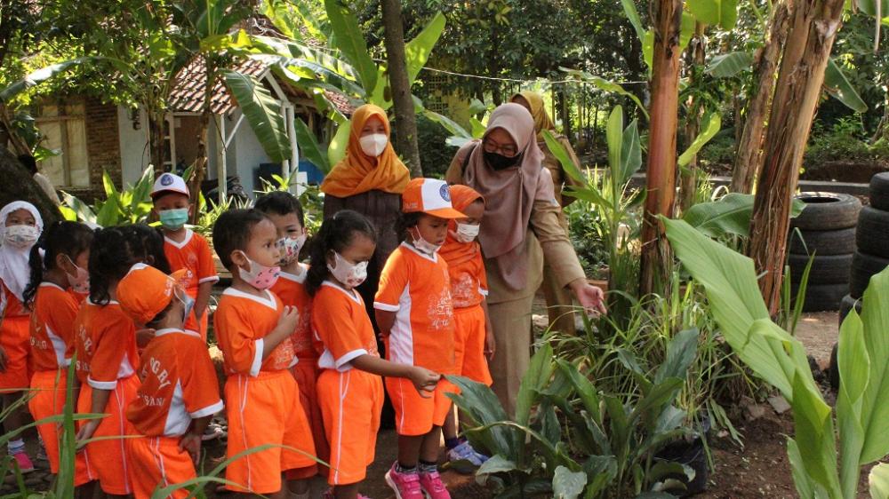 MENGENALKAN TANAMAN HERBAL 