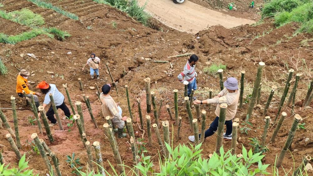Cegah Longsor, Sahabat Cakrawangsa Tanam Pohon