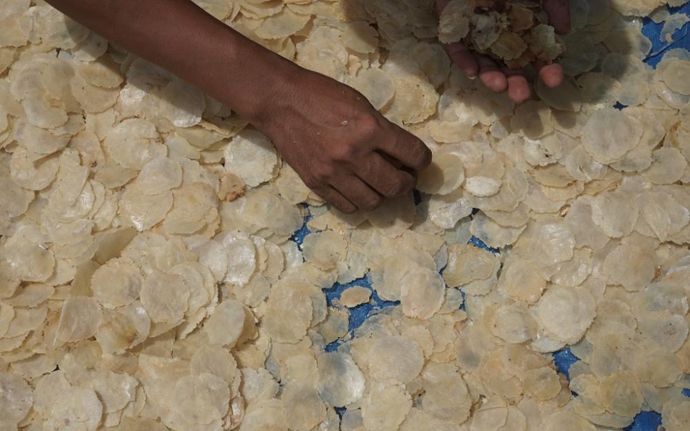 SORTIR EMPING KERING