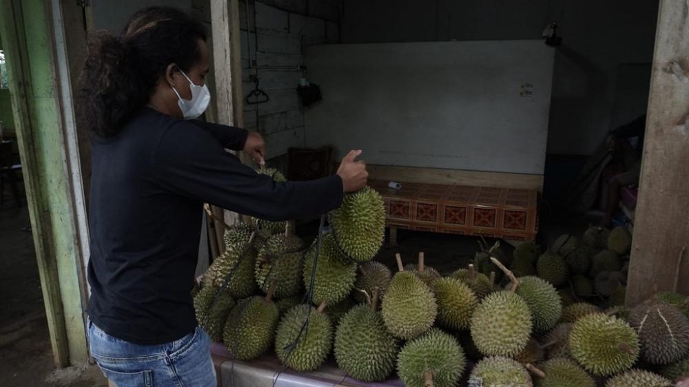 ANTAR DURIAN ke KIOS