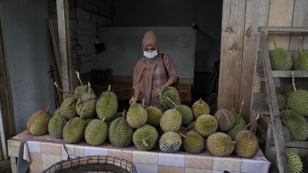JUAL DURIAN LOKAL