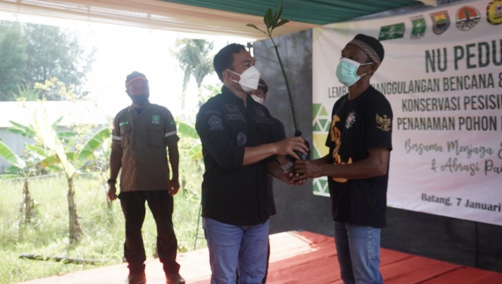 PENYERAHAN POHON MANGROVE