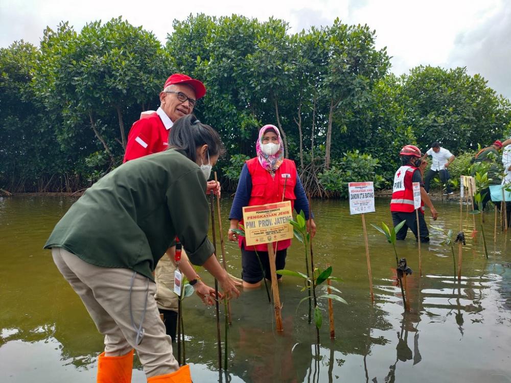 DLH Batang: Hampir 100 Meter Bibir Pantai di Batang Hilang 
