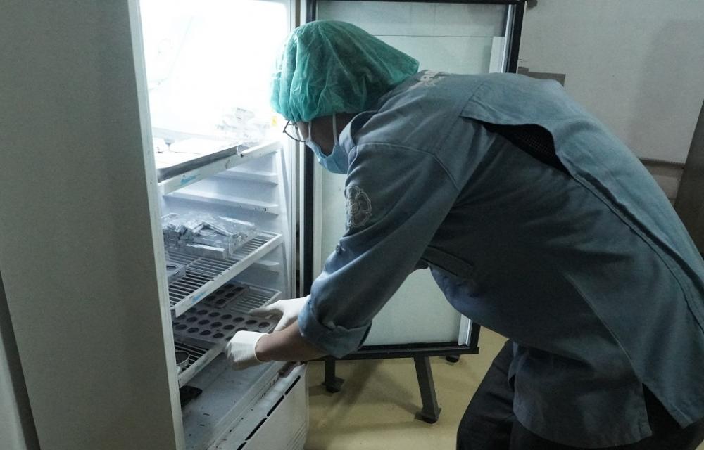 MASUKKAN COKELAT ke PENDINGIN