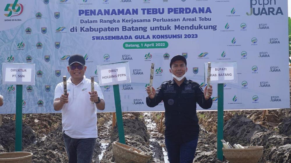 PTPN IX Kerjasama Dengan Pemkab Batang Tanam Tebu Perdana