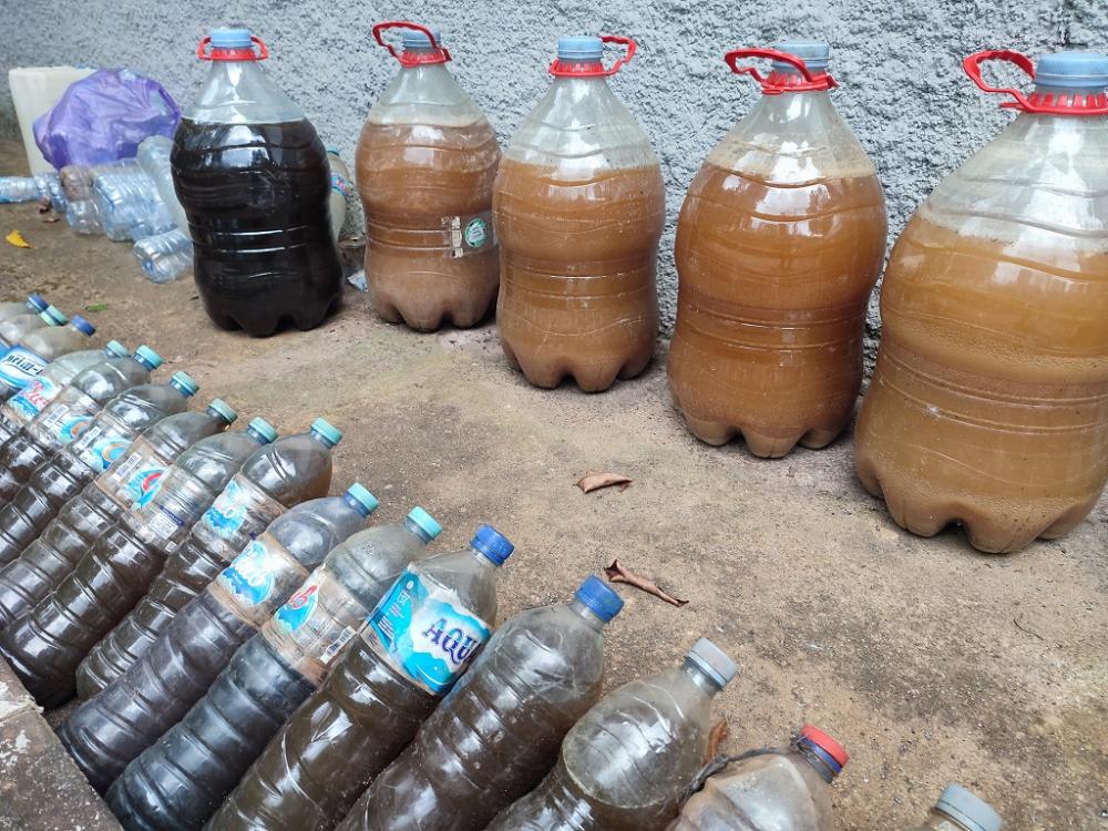 Manfaat Urine Domba dan Air Bekas Cucian Beras