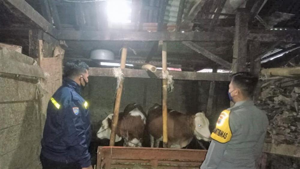 Polres Batang Kerahkan Bhabinkamtibmas Cegah Penyebaran PMK