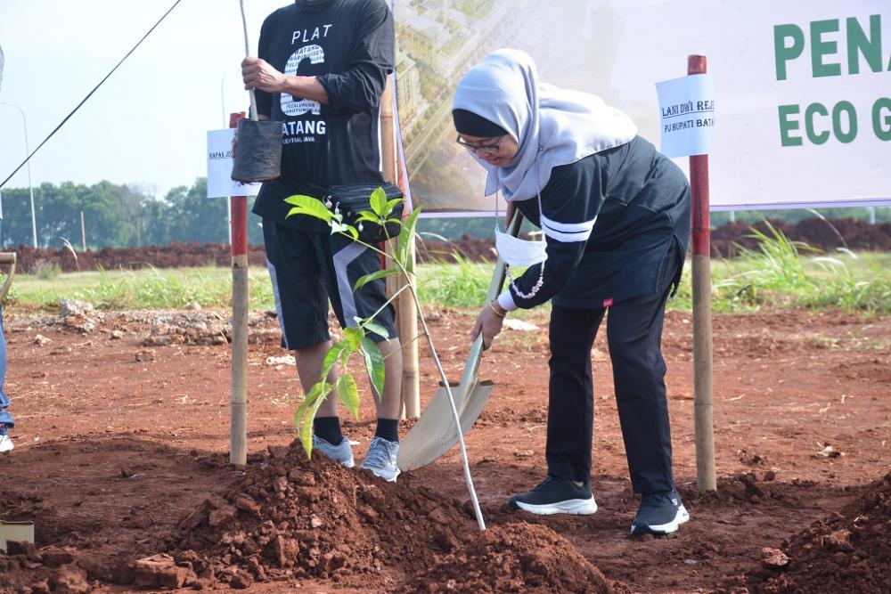 TANAM POHON TREMBESI