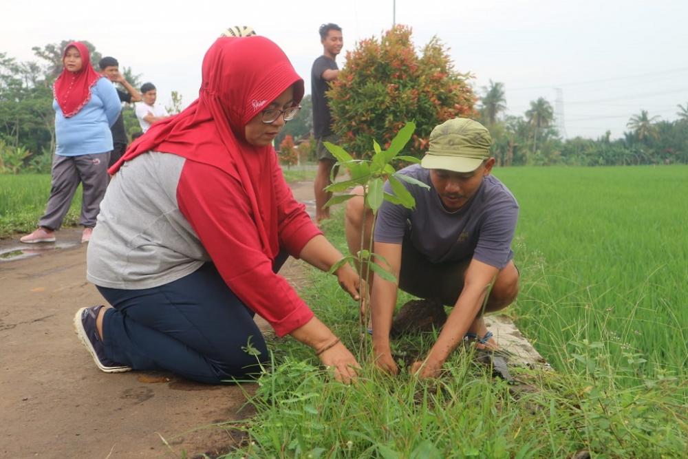 Paguyuban Sokasari Gandeng FKD, Hijaukan Lingkungan