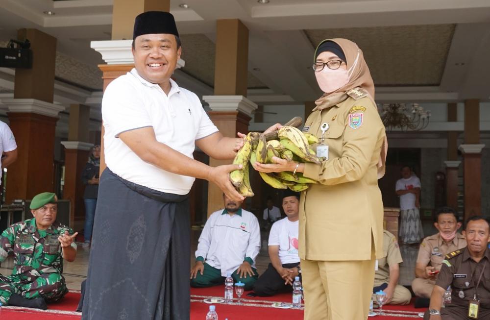Hasil Bumi Melimpah, Petani Siap Dukung Penanganan Stunting