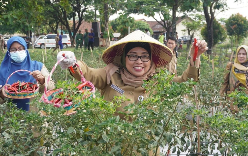 Tanaman Cabai Sebagai Solusi Dalam Membentuk Ketahanan Pangan di Batang