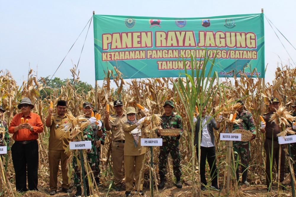 Sukses Panen Jagung, Kodim Batang Segera Tanam Cabai