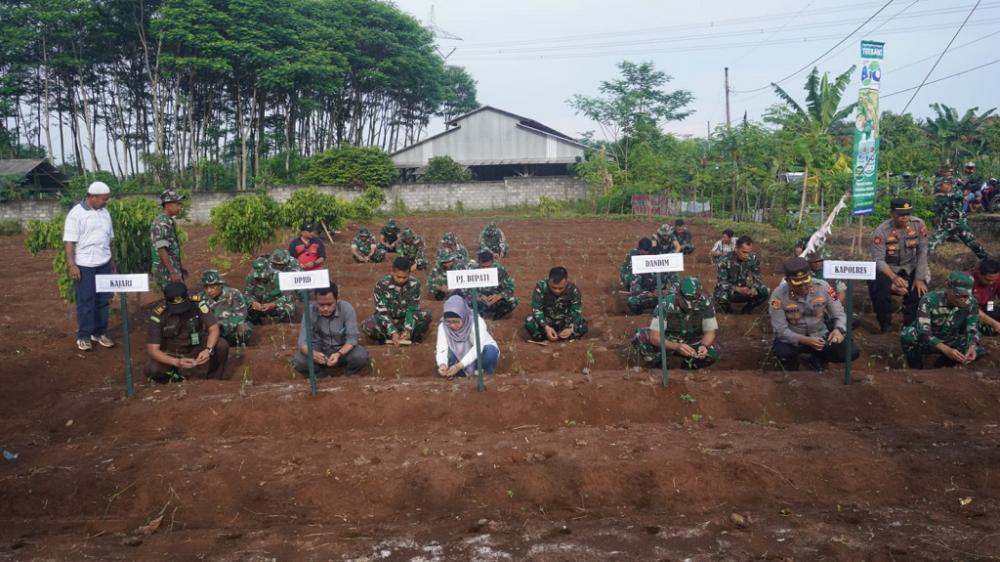 Teruskan Program Ketahanan Pangan, Kodim 0736 Batang Tanam Cabai