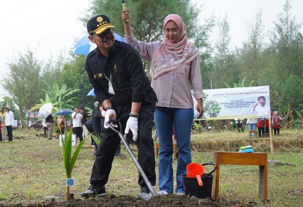 PENANAMAN BIBIT KELAPA GENJAH