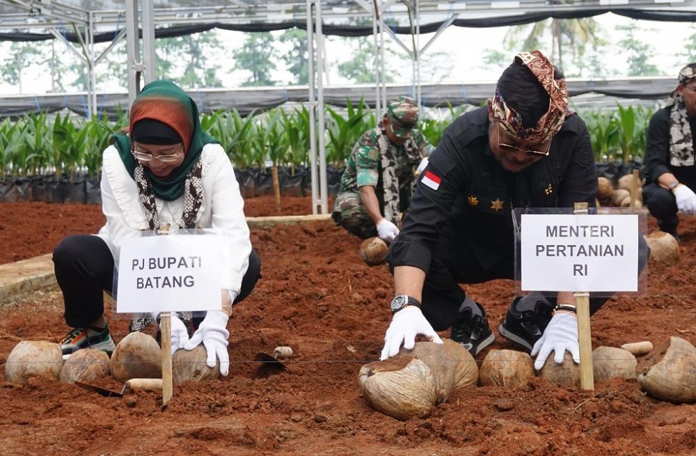 SEMAI BIBIT KELAPA GENJAH