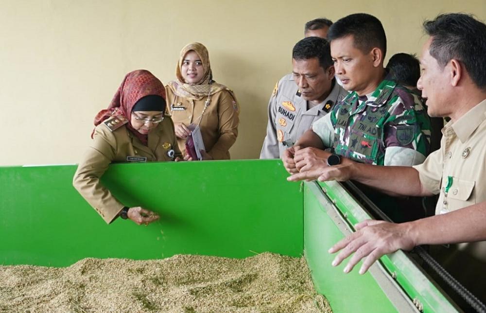 LIHAT HASIL PADI di BED DRAYER