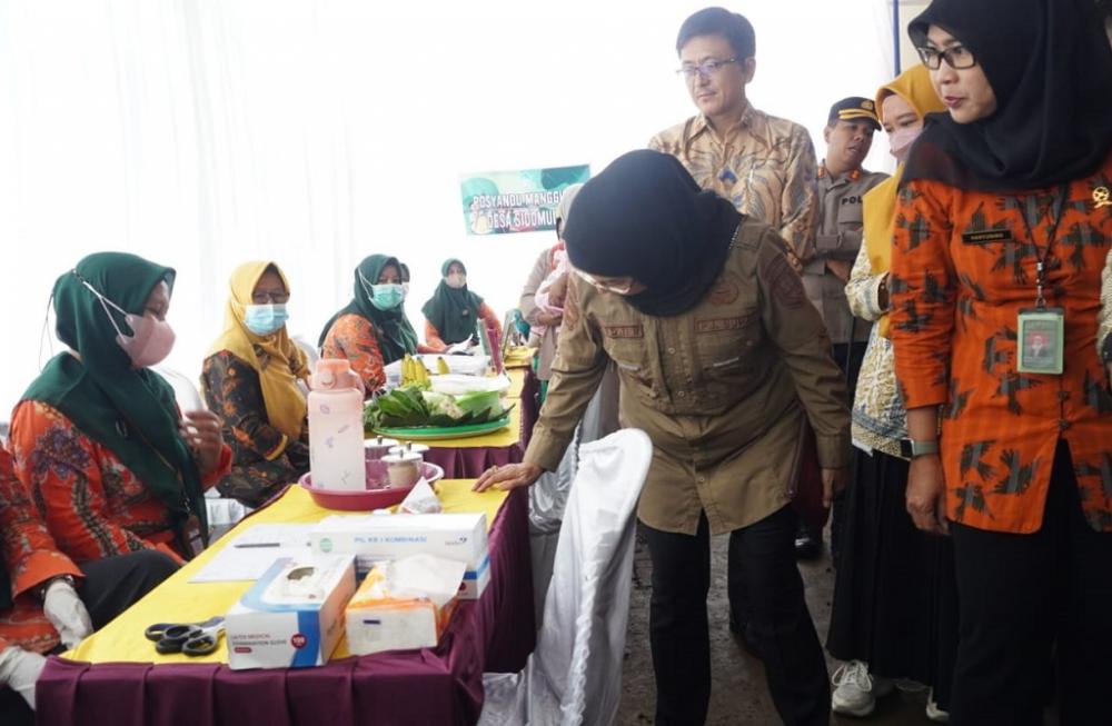 TINJAU MAKANAN UNTUK IBU HAMIL